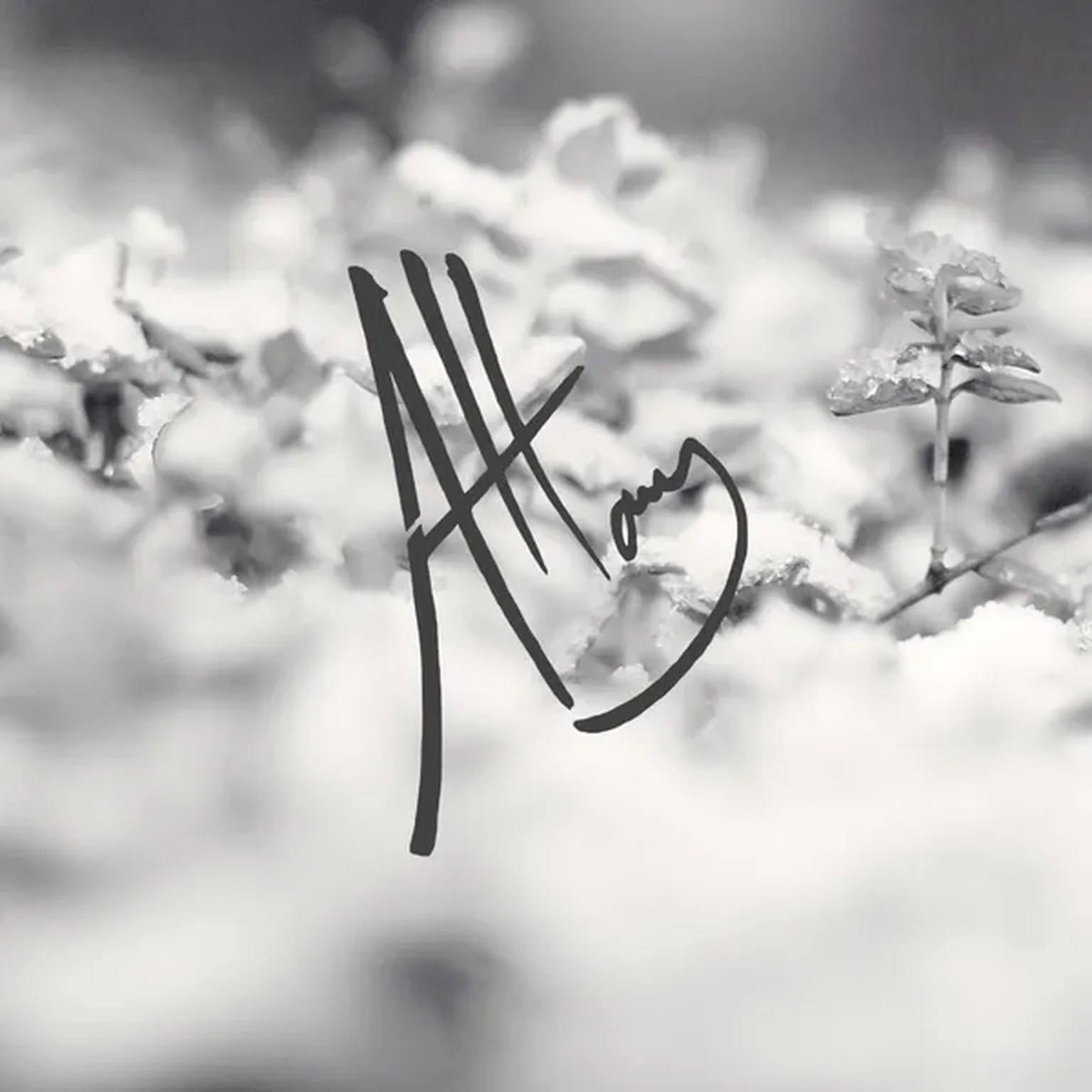 Stay
