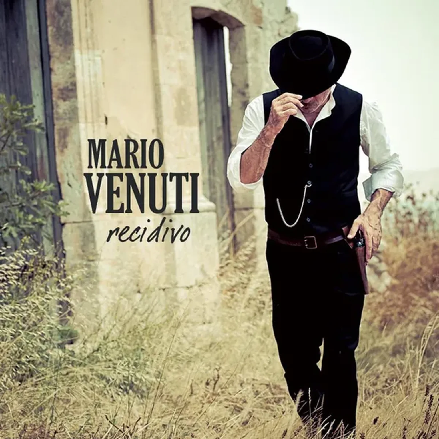 La Virtù Dei Limoni
