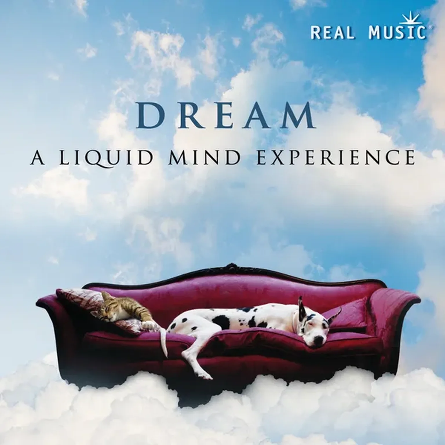 Dream Ten