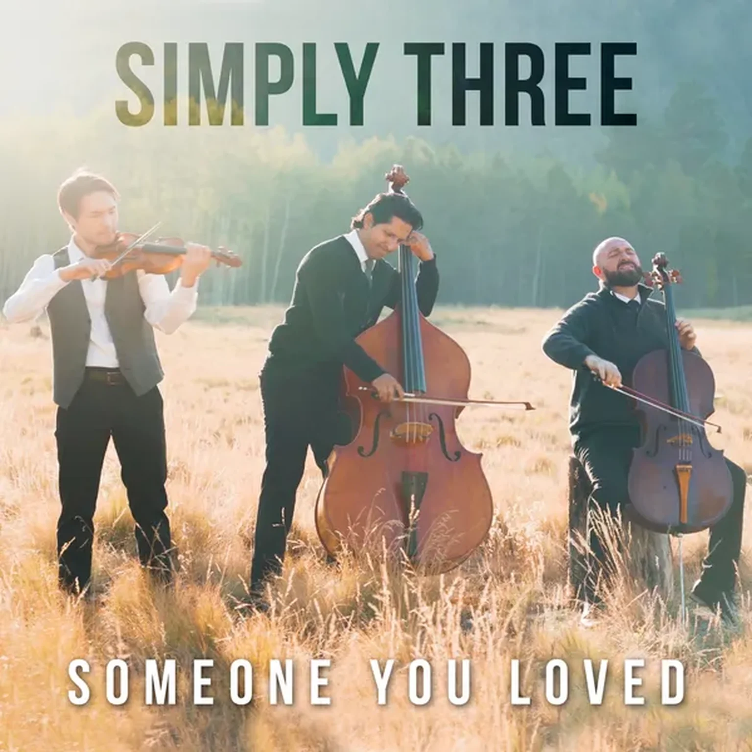 Someone You Loved