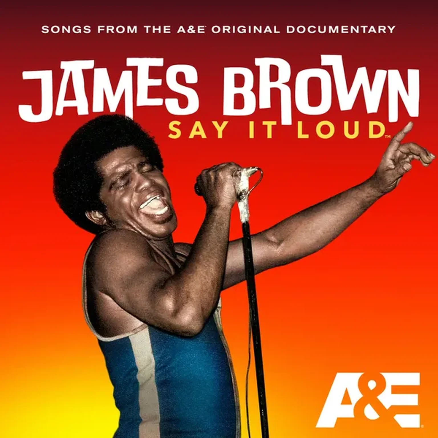 Say It Loud I'm Black & I'm Proud (live in Dallas)