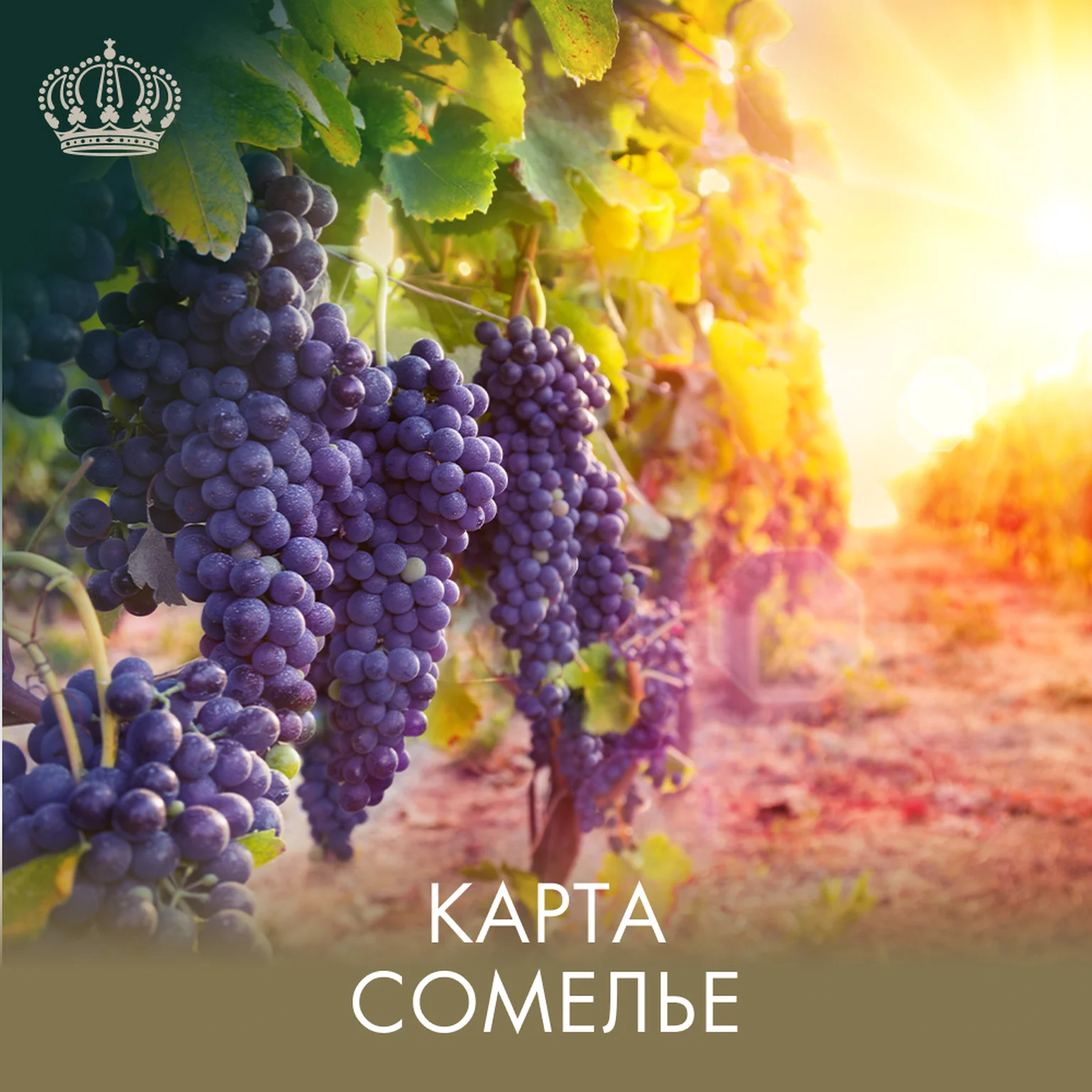 Карта Сомелье
