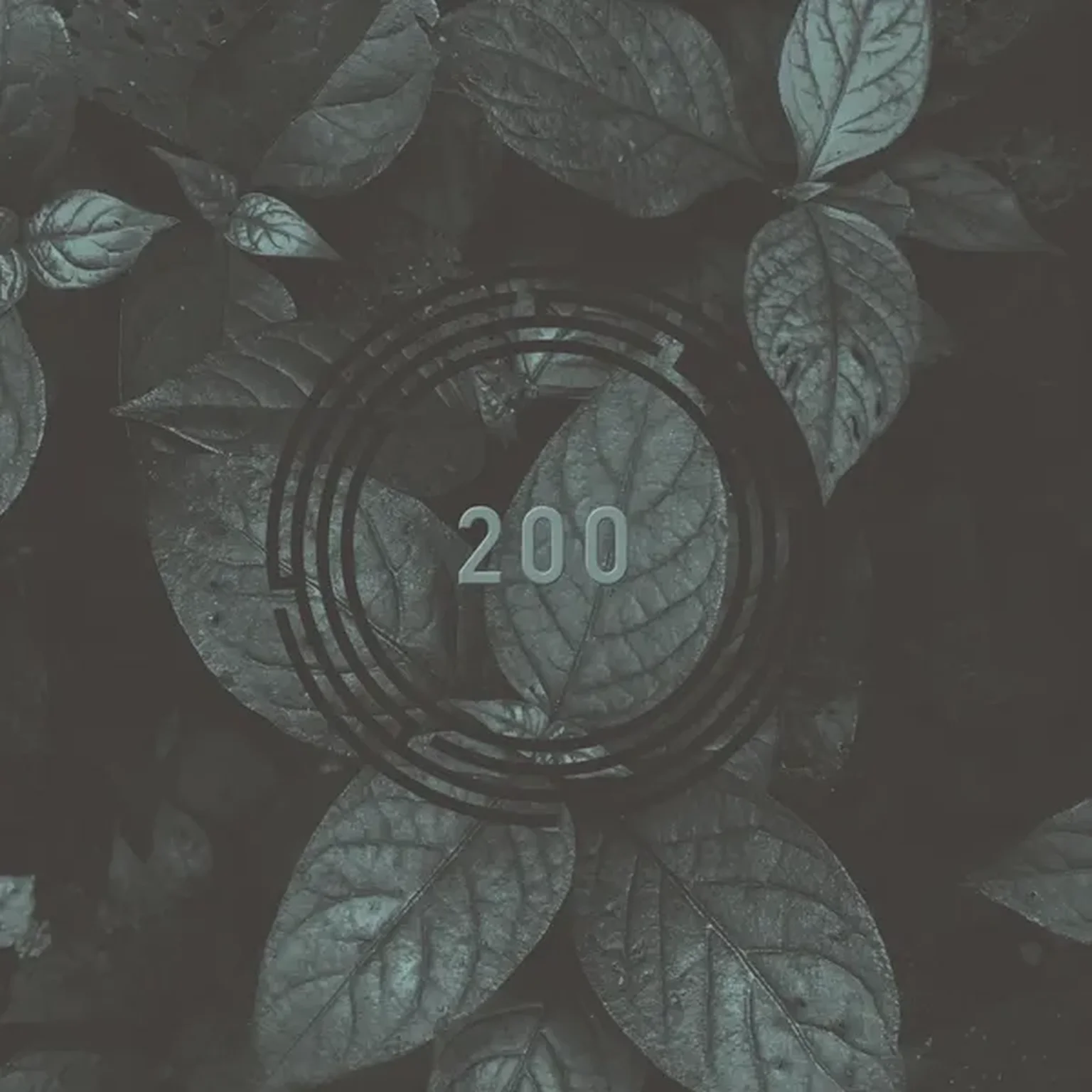 A New Beginning