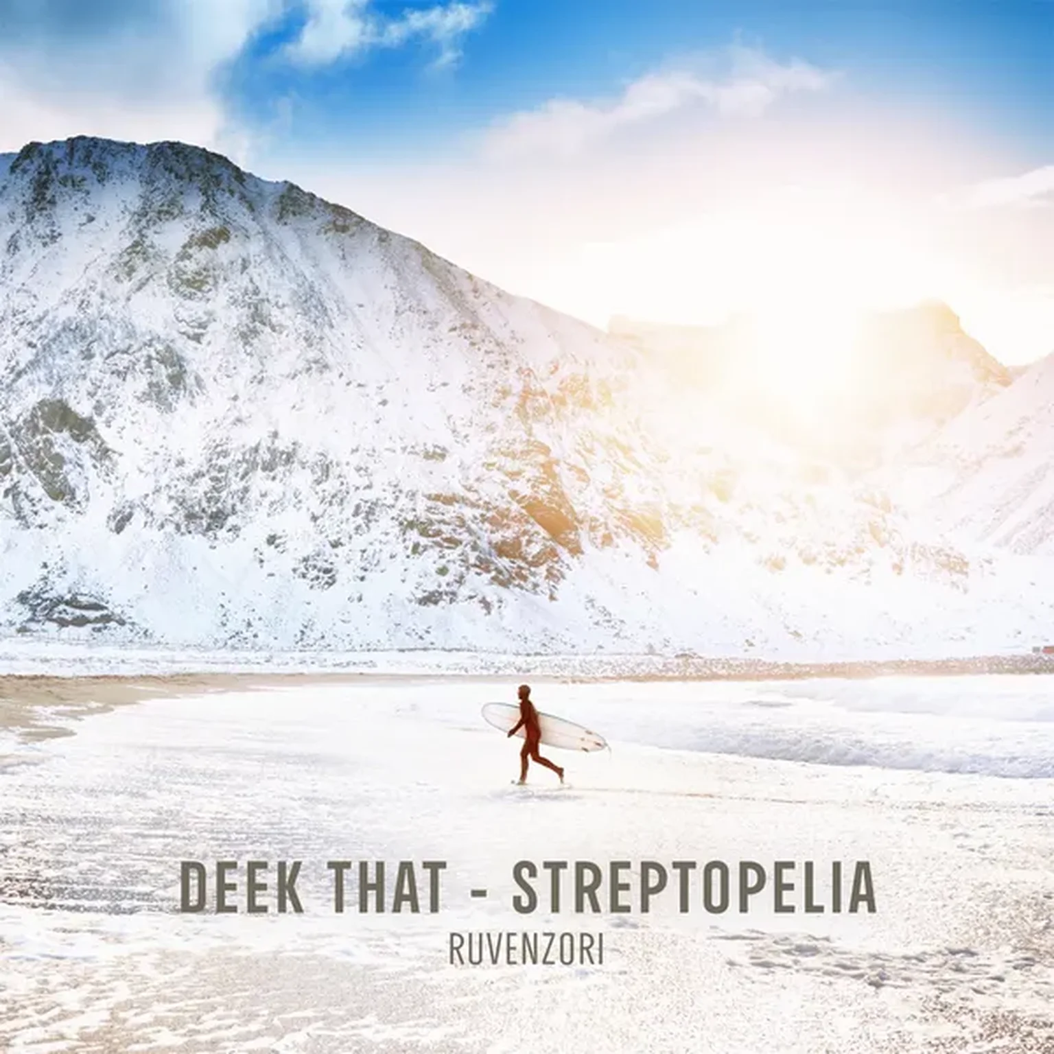 Streptopelia