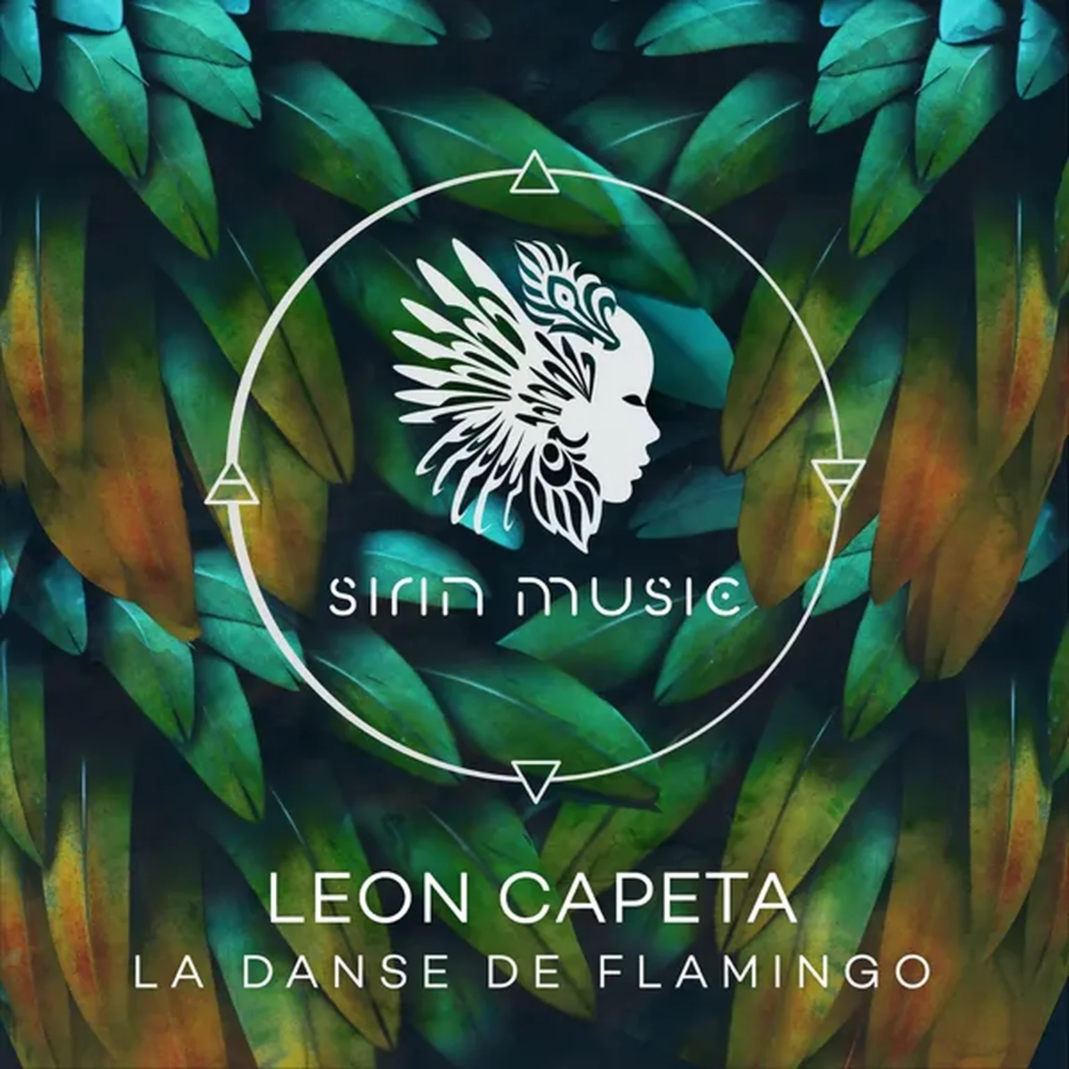 La Danse de Flamingo (Somelee Remix)