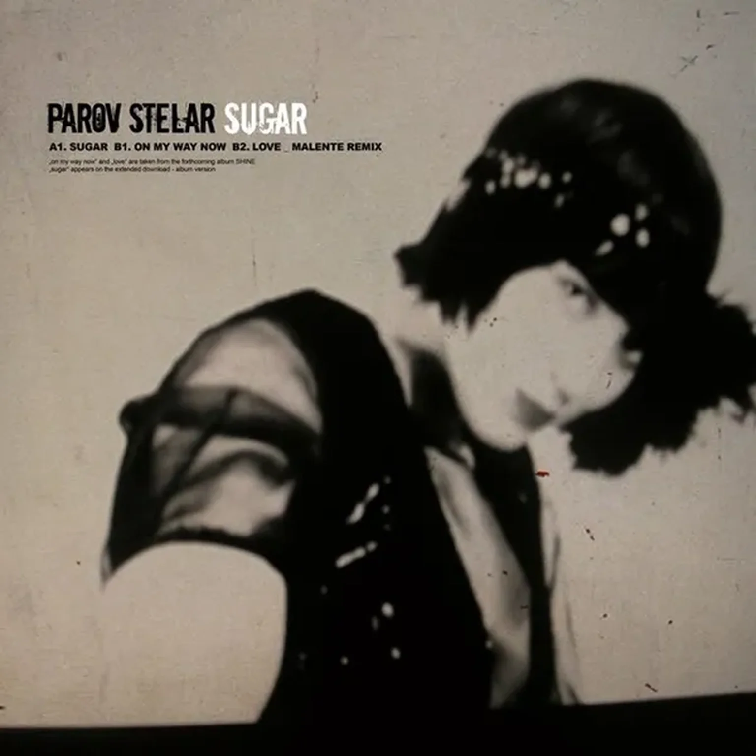 The Last Dance (Remix)