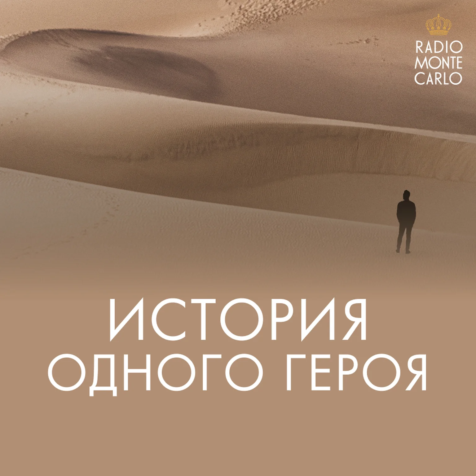 История одного героя