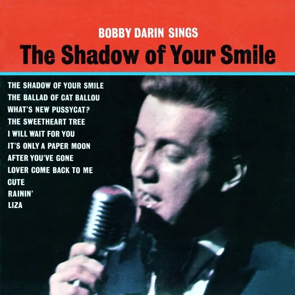 The Shadow of Your Smile