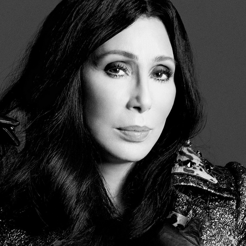 Cher Fakes